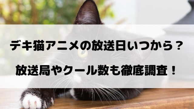 デキ猫アニメの放送日いつからいつまで？放送局やクール数も徹底調査！