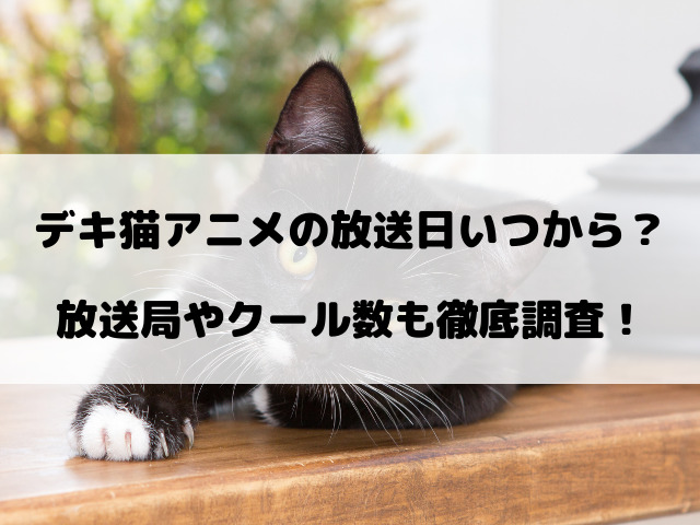 デキ猫アニメの放送日いつからいつまで？放送局やクール数も徹底調査！