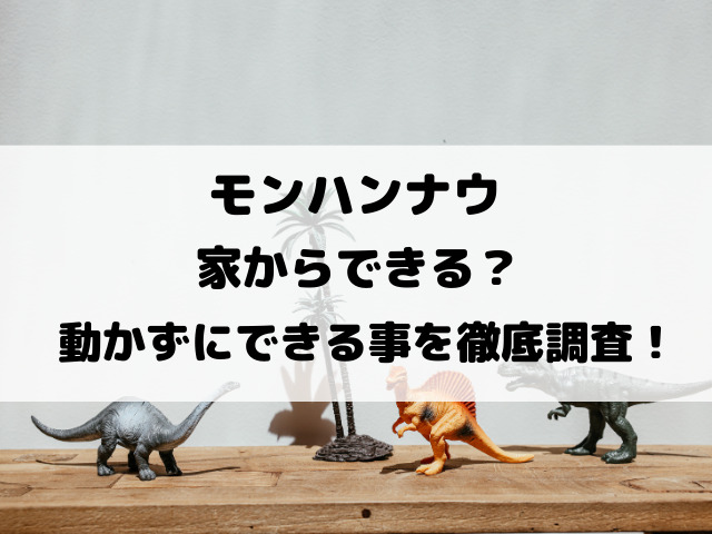 モンハンナウ家からできる？動かずにできる事を徹底調査！