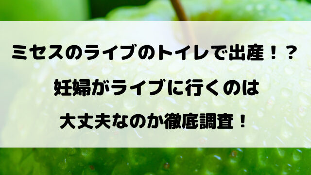 ミセスのライブのトイレで出産！？妊婦がライブに行くのは大丈夫なのか徹底調査！