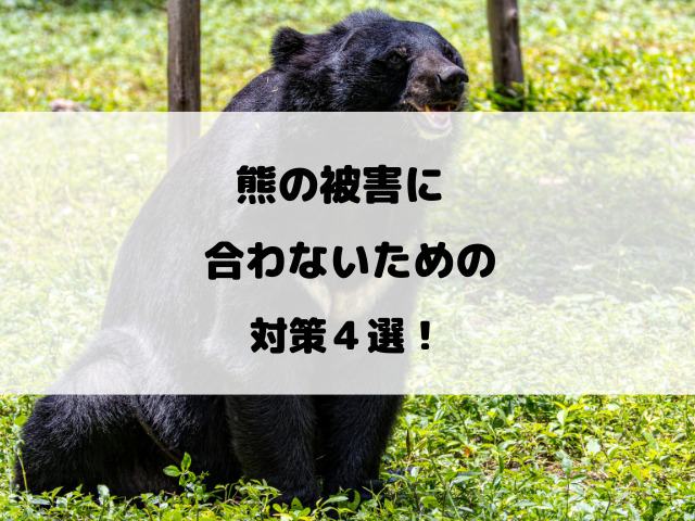 熊の駆除反対は頭おかしい？被害が多いのになぜクレーム殺到なのか徹底解説！