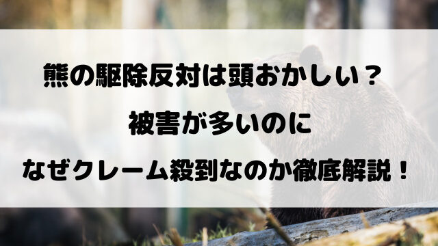熊の駆除反対は頭おかしい？被害が多いのになぜクレーム殺到なのか徹底解説！