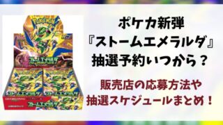 『ストームエメラルダ』抽選予約いつから？各販売店の応募方法やスケジュールも徹底調査！